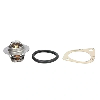 Afbeelding van CALORSTAT by Vernet TH5977.92J Thermostaat, koelvloeistof 92 51,9 Met pakking