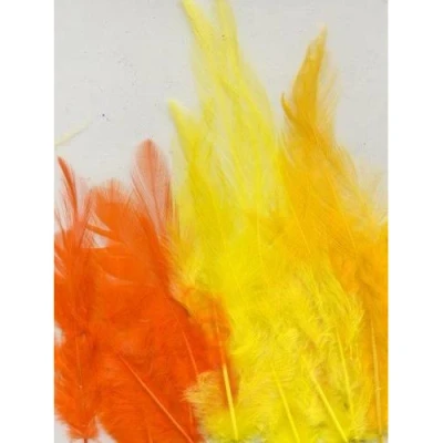 Afbeelding van Veren geel oranje mix 9 15 cm ST