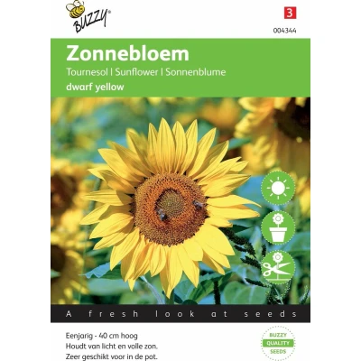 Afbeelding van Helianthus annuus dwarf Yellow Tuinplus Buzzy
