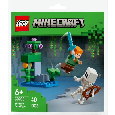 Afbeelding van LEGO Minecraft 30705 Duel bij de weelderige grot (polybag)