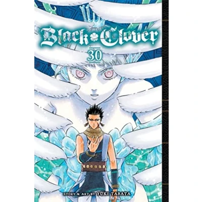 Afbeelding van Black Clover Clover, Vol. 30