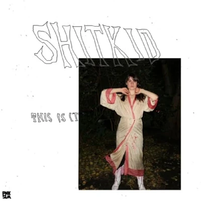 Afbeelding van Shitkid This is It (LP)