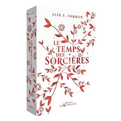 Afbeelding van LE TEMPS DES SORCIERES
