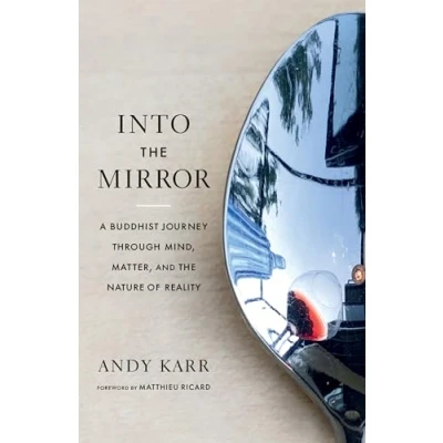 Afbeelding van Into the Mirror