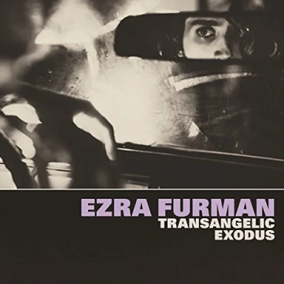 Afbeelding van Ezra Furman Transangelic Exodus (LP)