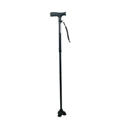 Afbeelding van Wandelstok met Voet Zwart