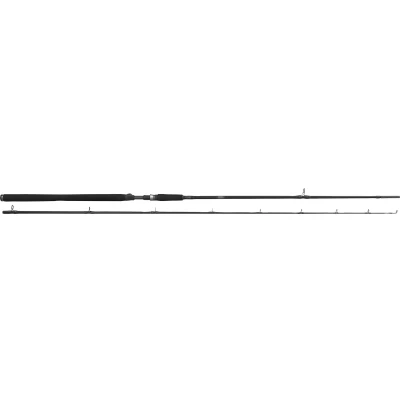 Afbeelding van Westin W3 Powercast XXH Spinhengel 2.48m (40 130g)