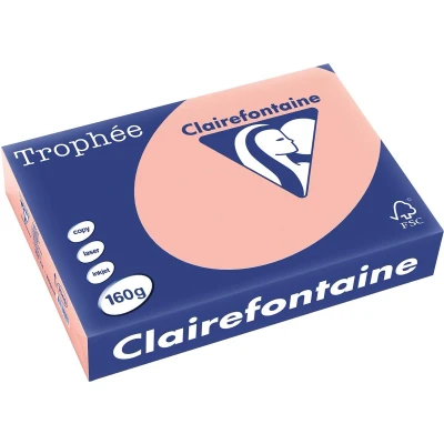Afbeelding van Clairefontaine Trophée Pastel, gekleurd papier, A4, 160 g, 250 vel, perzik papier