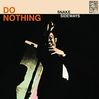 Afbeelding van Snake Sideways