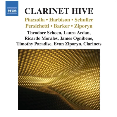 Afbeelding van Various Artists Clarinet Hive (CD)