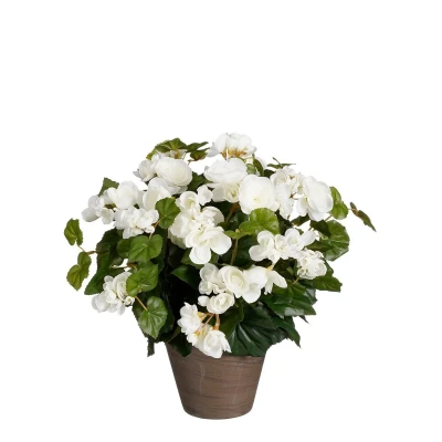 Afbeelding van Begonia Kunstplant in Bloempot Stan H37 x Ø36 cm Wit