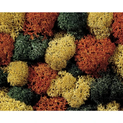 Afbeelding van NOCH 8620 Mos Herfstmengsel