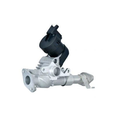 Afbeelding van HELLA 6NU 014 864 981 EGR klep Electrisch Met pakkingen BMW: 3 Touring, 1 Hatchback, Saloon