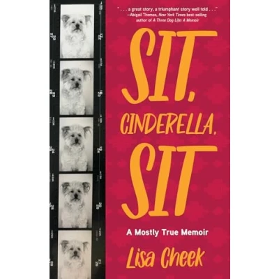 Afbeelding van Sit, Cinderella, Sit