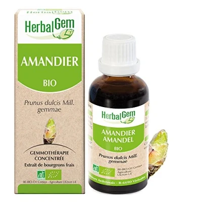 Image de Herbalgem Amande Do Bio 30ml