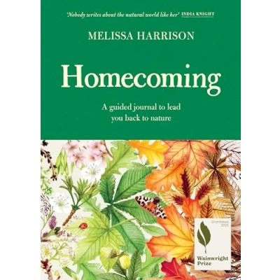 Afbeelding van Homecoming