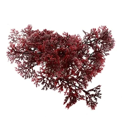Afbeelding van Aqua Della Aquariumplanten (voeding) Vissen Hangend Mos 5cm Gemengde Kleuren 1st