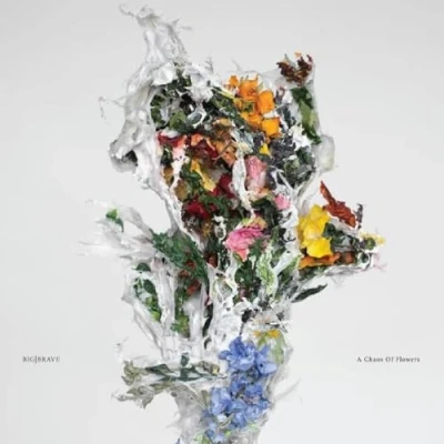Afbeelding van Big Brave A Chaos of Flowers (LP)