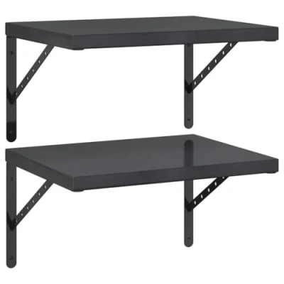 Afbeelding van vidaXL Wandschappen 2 st 50x40 cm roestvrijstaal zwart