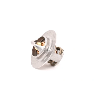 Afbeelding van Febi Bilstein Thermostaat 17694