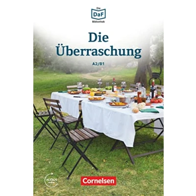 Afbeelding van Die Uberraschung Geschichten aus dem Alltag der Familie Schall