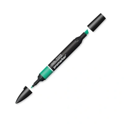 Afbeelding van Winsor &amp; Newton ProMarker 0203289 professionele markeerstiften, 2 fijne en brede punten, voor tekeningen, design lay out, groen