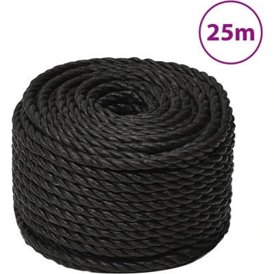 Afbeelding van vidaXL Werktouw 12 mm 25 m polypropeen zwart