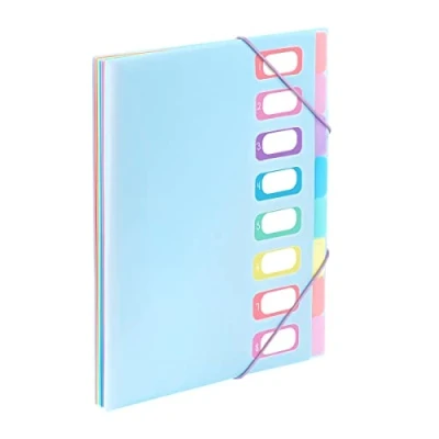 Afbeelding van Viquel Documentenmap A4 met 8 vakken, Rainbow Pastel