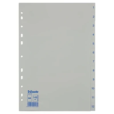 Afbeelding van Esselte plastic register, nummers, A4, 1 31, grijs