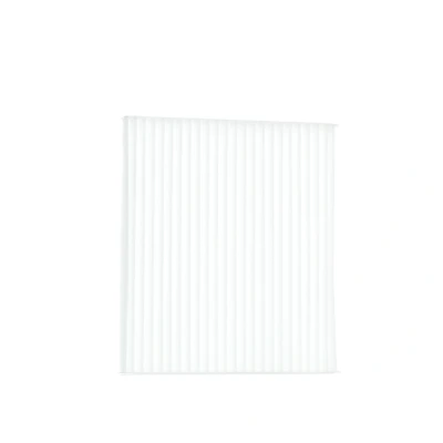 Afbeelding van Blue Print Interieurfilter ADG02590