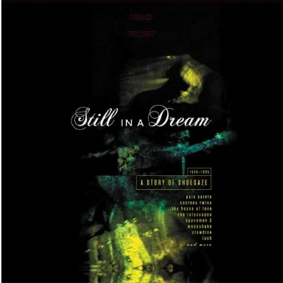Afbeelding van Various Still In a Dream (2 LPs)