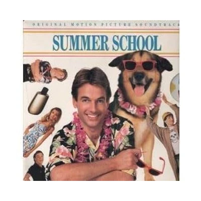 Afbeelding van Danny Elfman Summer School (LP)