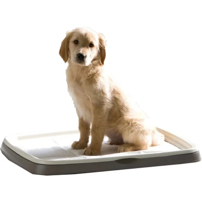 Afbeelding van Savic puppy trainer starterkit large Gebr. de Boon