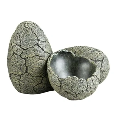 Afbeelding van Terra Della Natuurlijke Decoratie Reptielen Eieren S 15x15x10cm Meerkleurig 1st