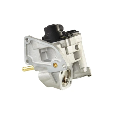 Afbeelding van HELLA 6NU 010 171 811 EGR klep Electrisch Met pakkingen VOLKSWAGEN: Golf 5, Touran I, Plus / Crossgolf, AUDI: A3 Hatchback, Sportback