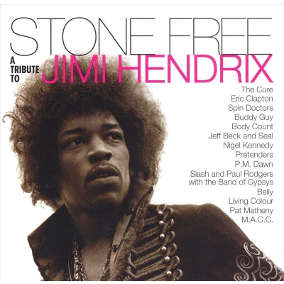 Afbeelding van Hendrix Jimi.=Tribute= Stone Free