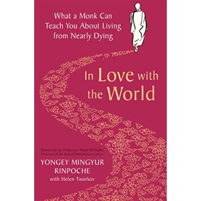 Afbeelding van In Love with the World What a Monk Can Teach You About Living from Nearly Dying