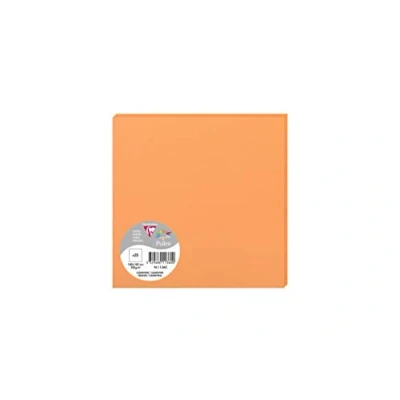 Image de Paquet de 25 cartes simples Pollen 160x160mm Clémentine 210g