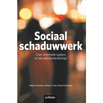 Afbeelding van Sociaal schaduwwerk