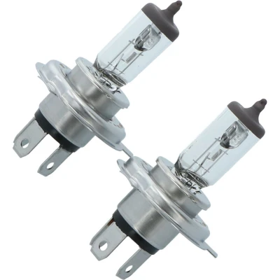 Afbeelding van Carpoint Ultrabright Autolampen H4 12V 60/55W 2 Stuks 0760046
