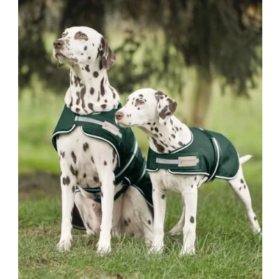 Afbeelding van Waldhausen Hondenregendeken Fir Green 60cm