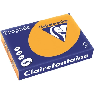 Afbeelding van Clairefontaine Trophée Pastel, gekleurd papier, A4, 160 g, 250 vel, oranje papier
