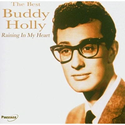 Afbeelding van Buddy Holly Raining In My Heart (CD)