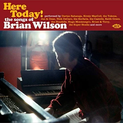 Afbeelding van Brian (Tribute) Wilson Here Today!