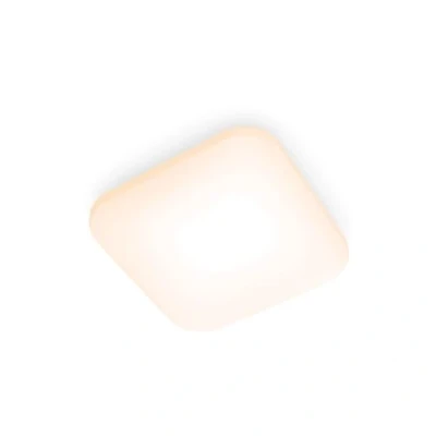 Afbeelding van Philips Mauve plafondlamp Wit 2700K 12W