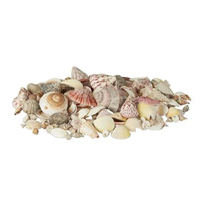 Afbeelding van Relaxdays schelpen set met slakkenhuizen 1 kg zeeschelpen schelpenmix maritiem