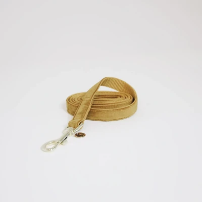 Image de Kentucky Laisse pour Chien velours Moutarde 1,2m S
