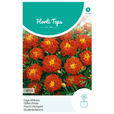 Afbeelding van Tagetes patula nana Carmen Buzzy