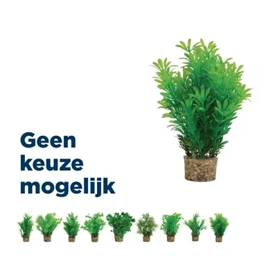 Afbeelding van Zolux Kunstplanten Op Grind Aquarium Kunstplant Groen per stuk Medium