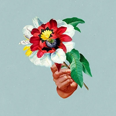 Afbeelding van Maribou State Kingdoms In Colour (LP)